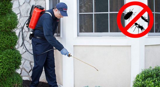 Şifne Hamam Böceği İlaçlama böcek ilaçlama ve haşere kontrolü — ilaclama-tr.com